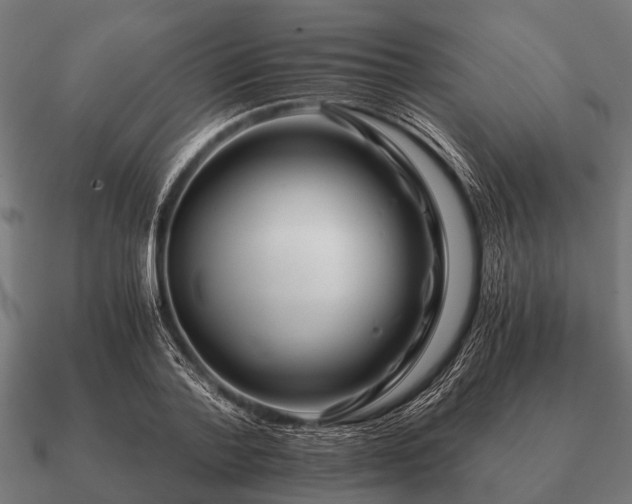 X0000090900788200708061503