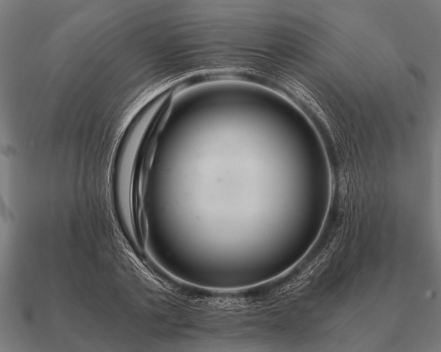 X0000090900789200708061503