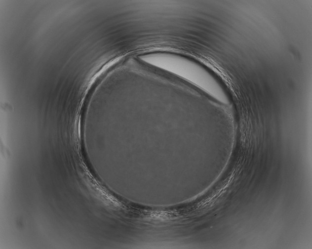 X0000090900790200708061503