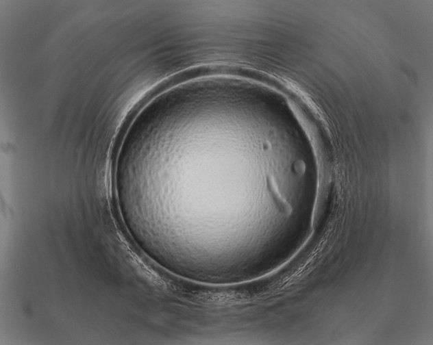 X0000090900791200708061503