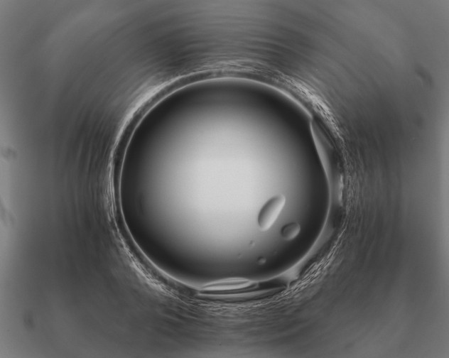 X0000090900792200708061503