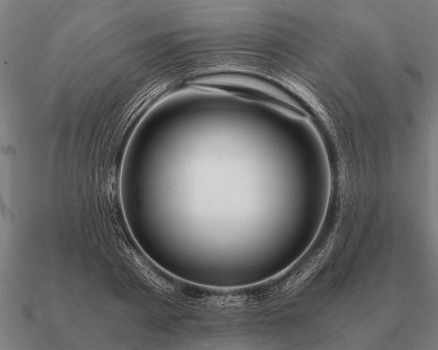 X0000090900793200708061503