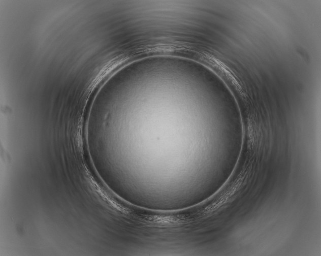 X0000090900794200708061503