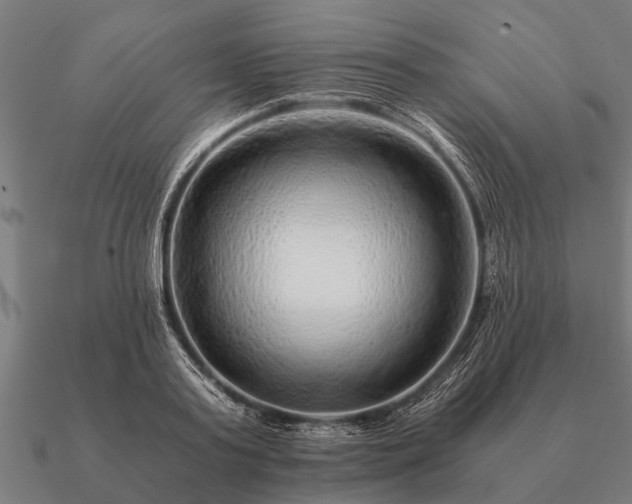 X0000090900795200708061503