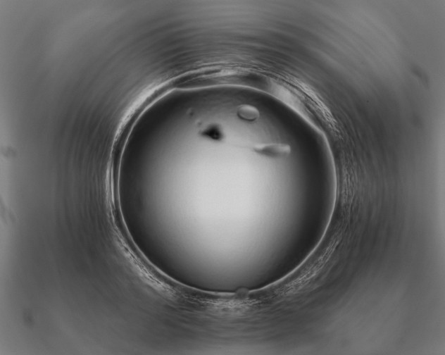 X0000090900796200708061503