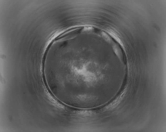 X0000090900797200708061503