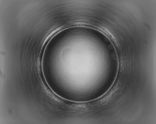 X0000090900798200708061503