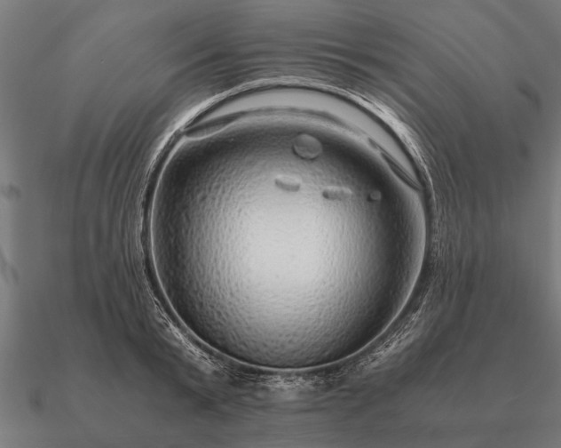 X0000090900799200708061503