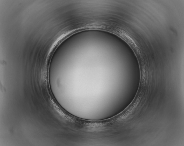 X0000090900800200708061503