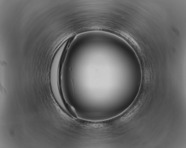 X0000090900801200708061503