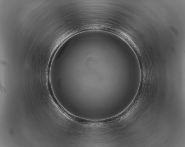 X0000090900802200708061503