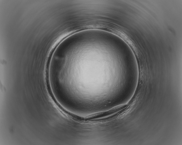 X0000090900803200708061503