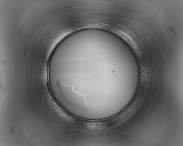 X0000090900804200708061503