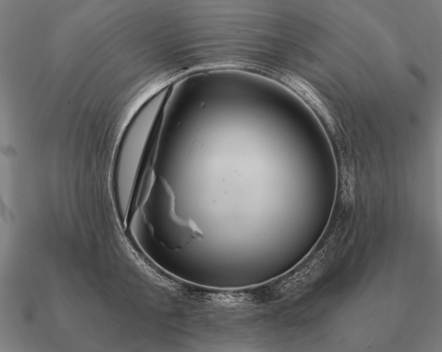 X0000090900805200708061503