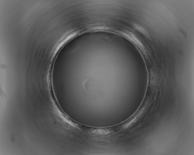 X0000090900806200708061503