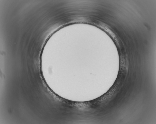 X0000090900807200708061503