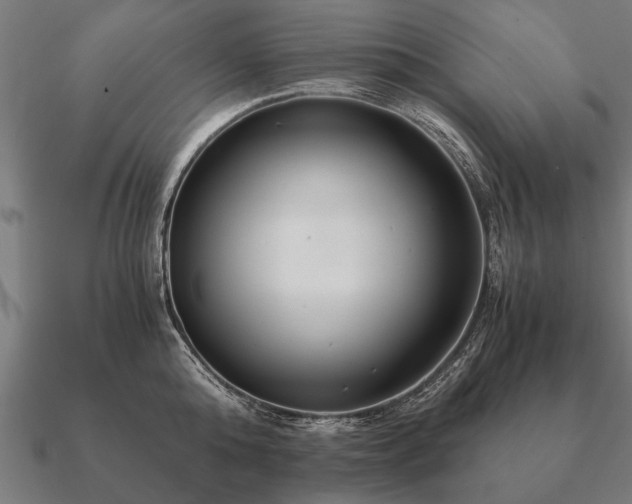 X0000090900808200708061503