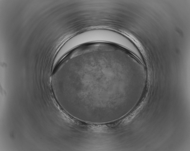 X0000090900809200708061503