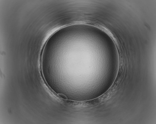 X0000090900811200708061503