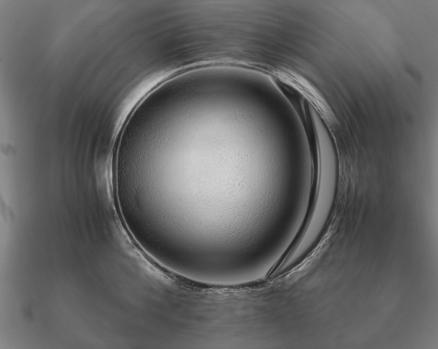 X0000090900812200708061503