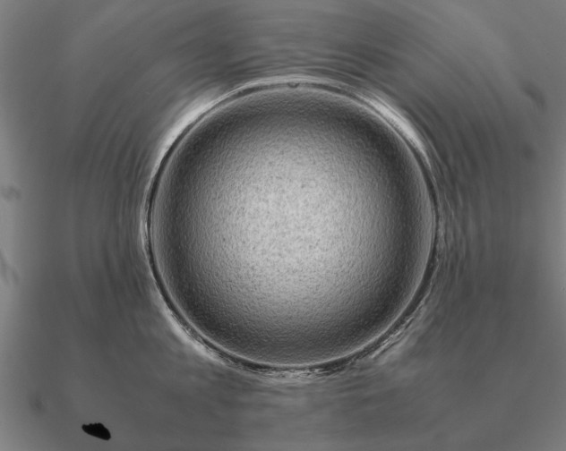 X0000090900813200708061503