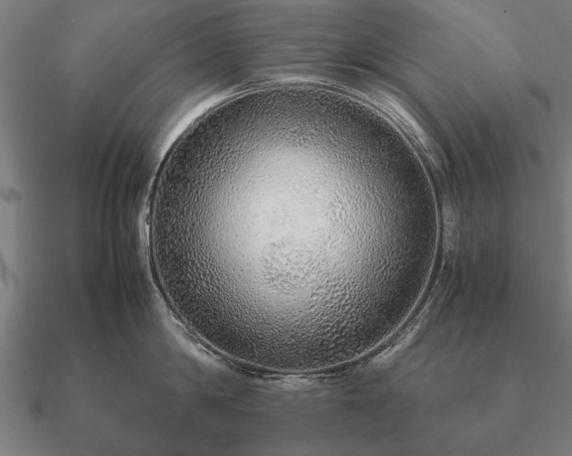 X0000090900814200708061503