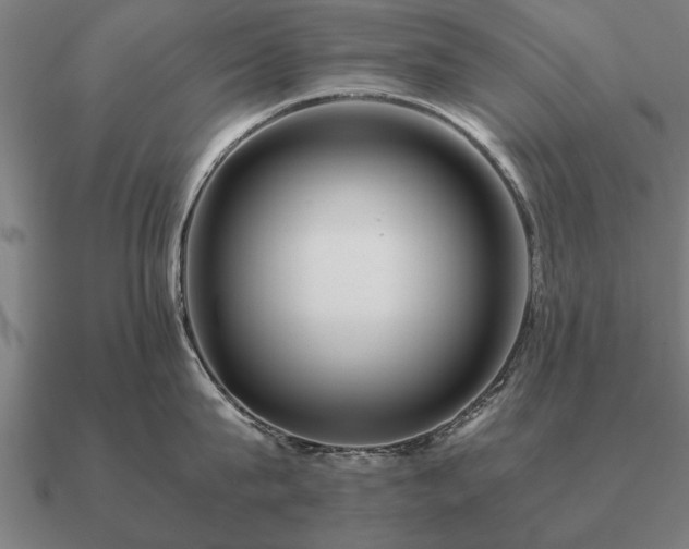 X0000090900815200708061503