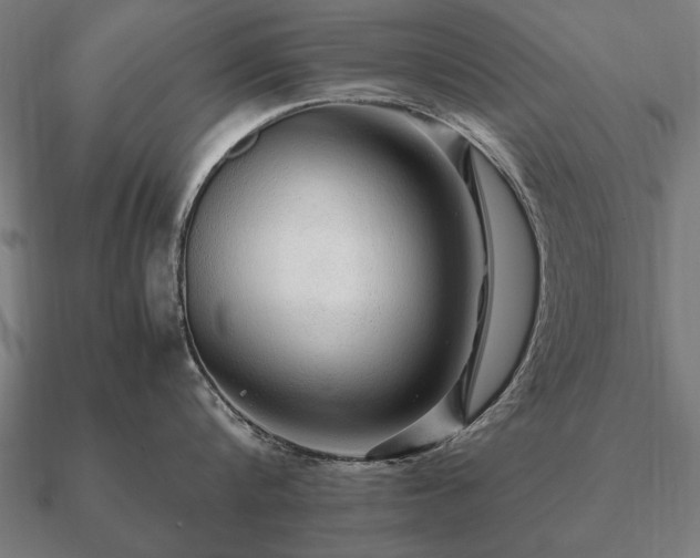 X0000090900816200708061503