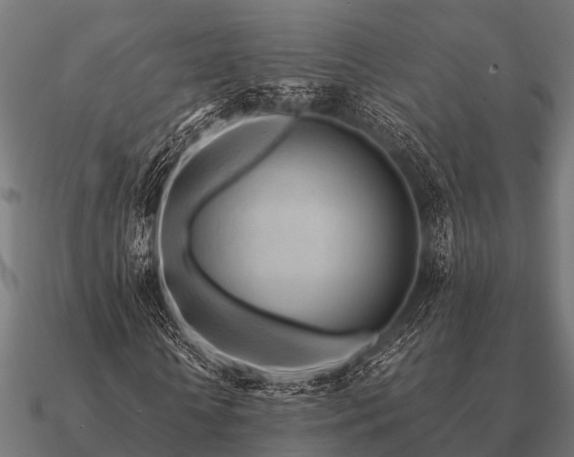 X0000090900818200708061502