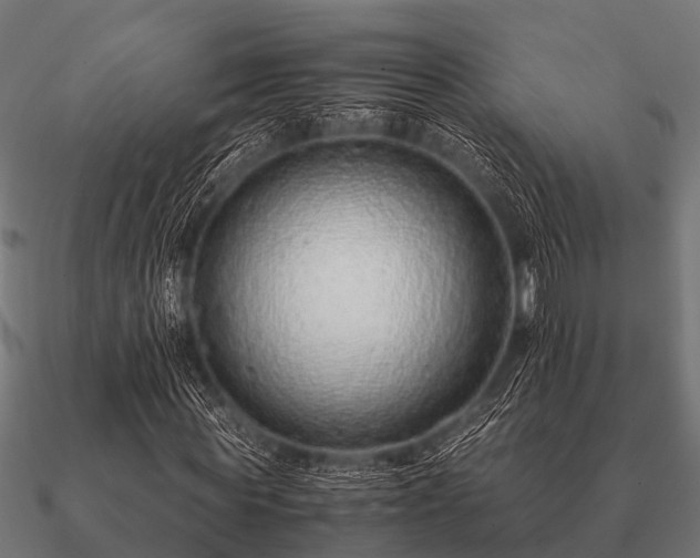 X0000090900819200708061502