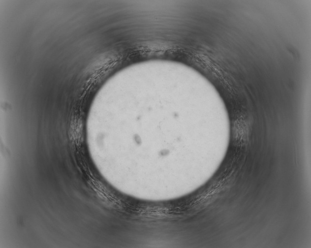 X0000090900820200708061502