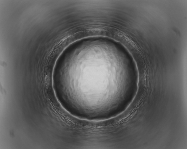 X0000090900821200708061502