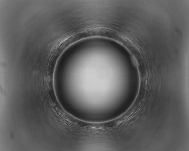 X0000090900822200708061502