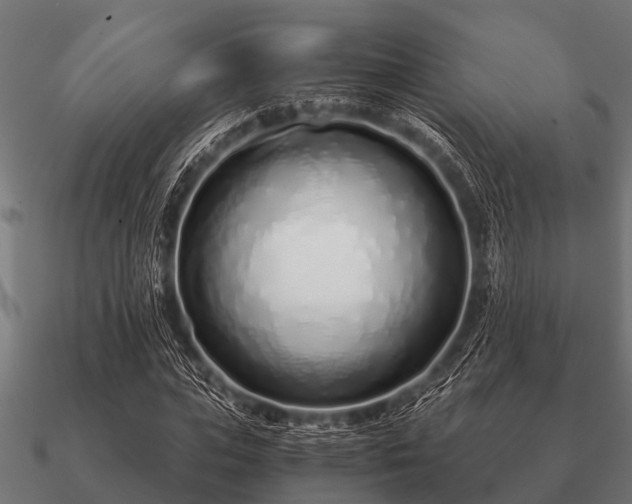 X0000090900823200708061502