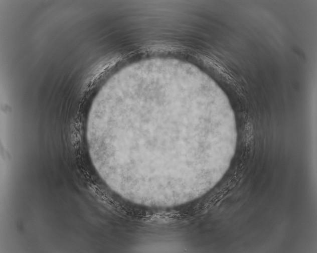 X0000090900824200708061502