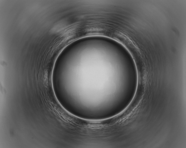 X0000090900825200708061502