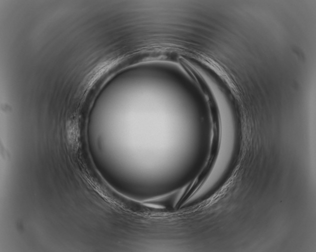 X0000090900826200708061502