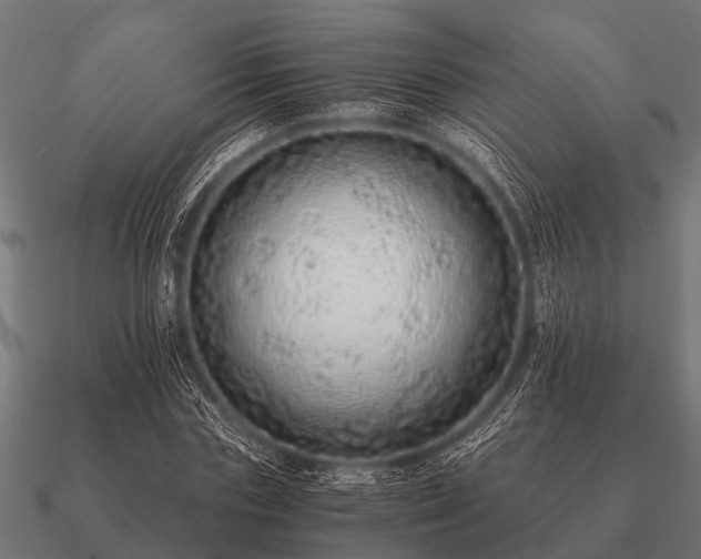 X0000090900827200708061502