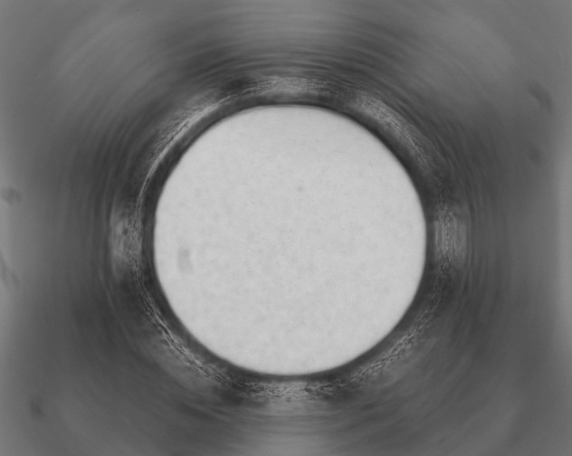 X0000090900828200708061502