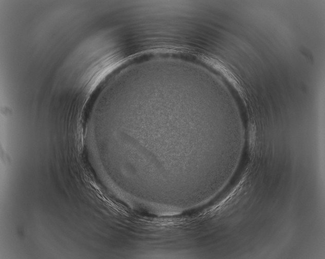 X0000090900829200708061502