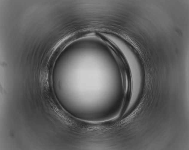 X0000090900830200708061502