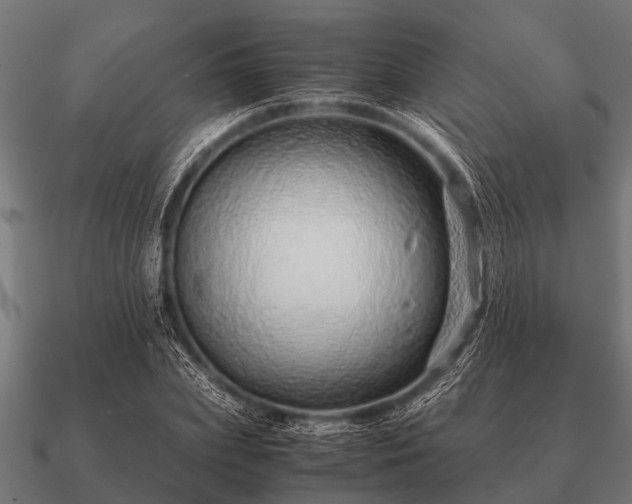 X0000090900831200708061502