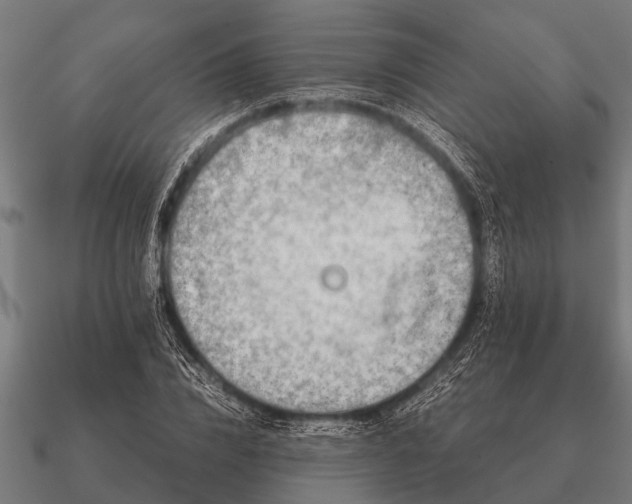 X0000090900832200708061502