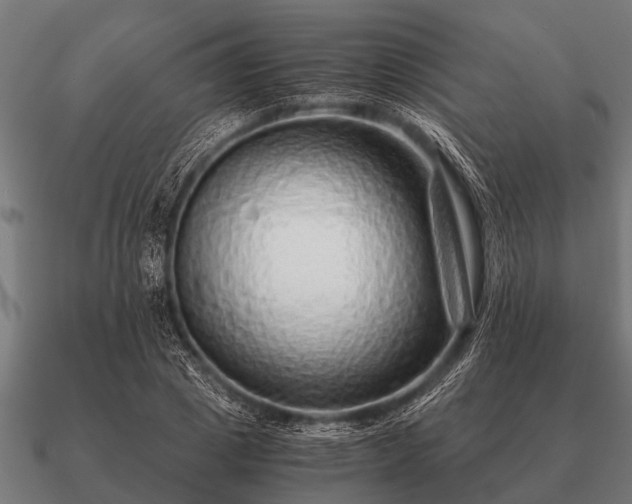 X0000090900833200708061502