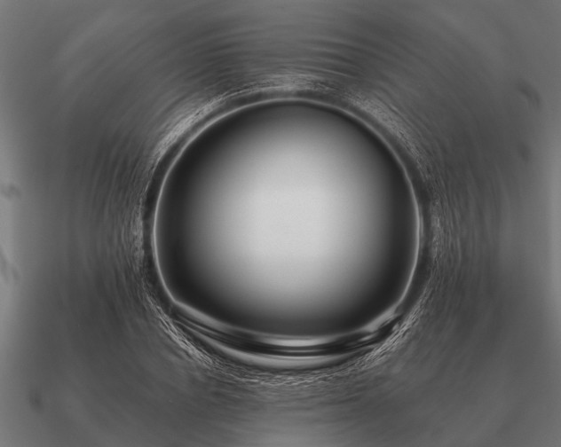 X0000090900834200708061502