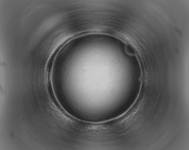 X0000090900835200708061502