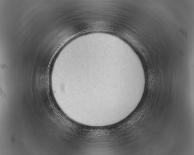 X0000090900836200708061502