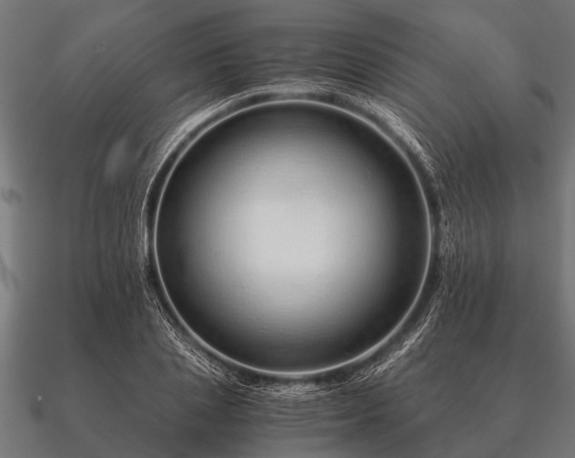 X0000090900837200708061502