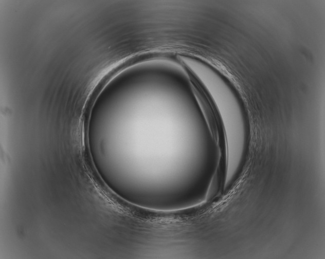 X0000090900838200708061502