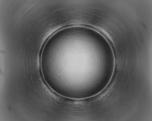 X0000090900839200708061502